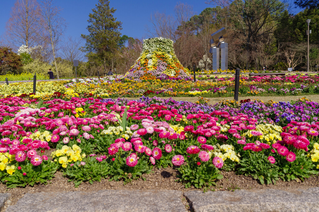 花壇の風景2