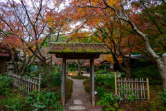 万博記念公園汎庵・万里庵紅葉1