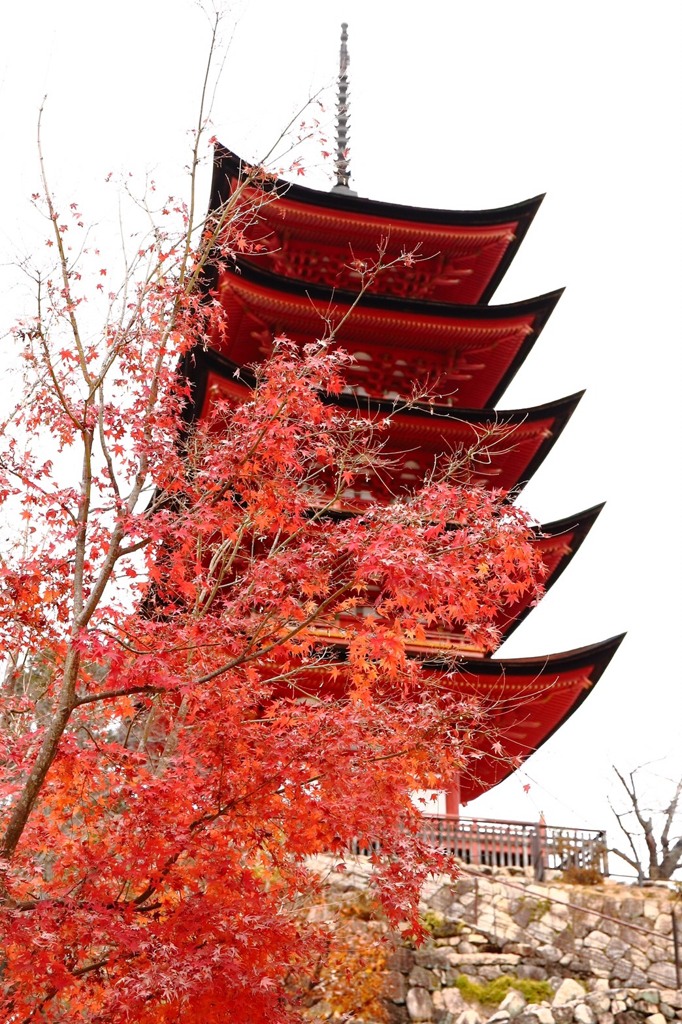 紅葉と五重塔
