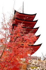 紅葉と五重塔