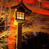 神社のライトアップ