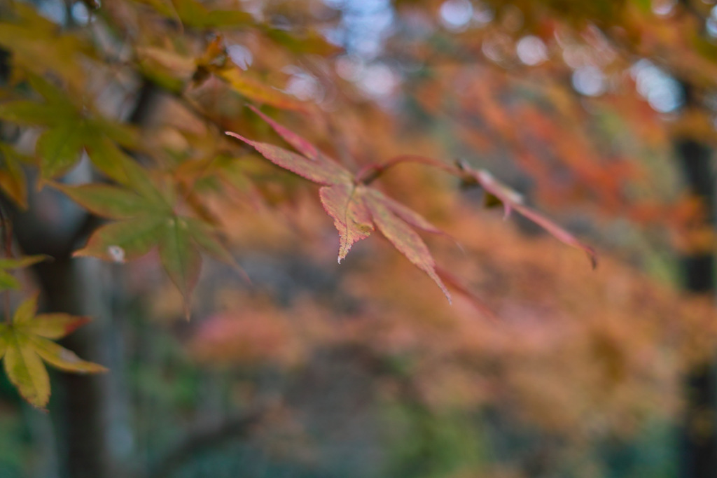 方向が‥