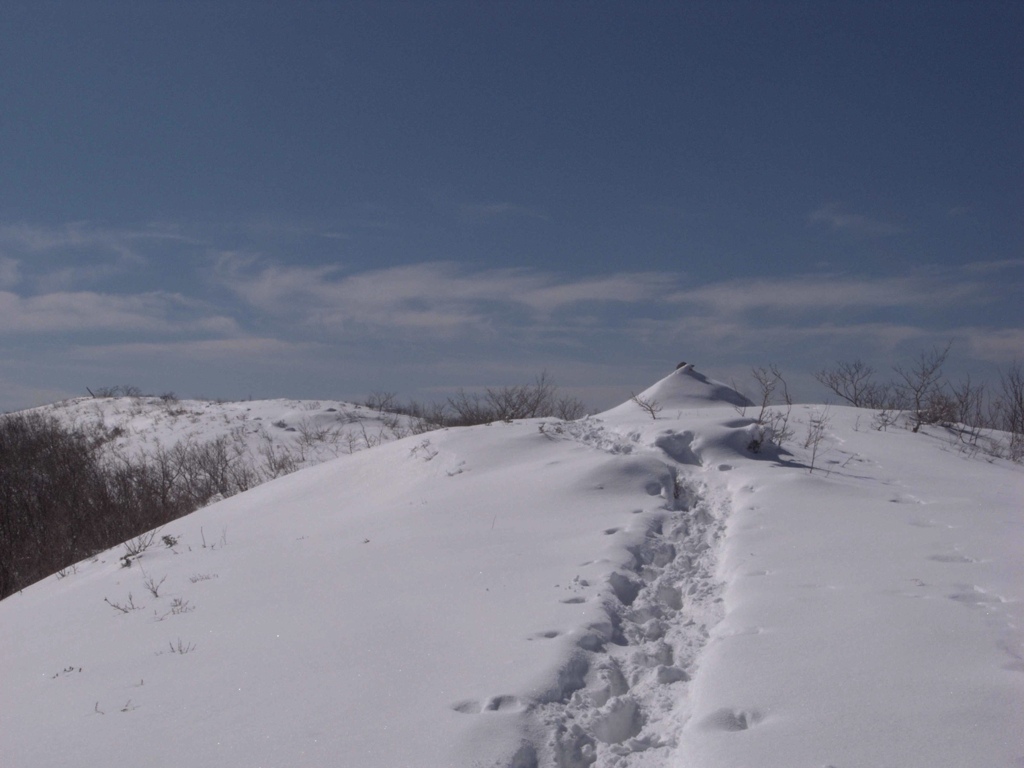 北ノ段山頂うろうろ。