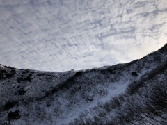 大山ユートピア避難小屋