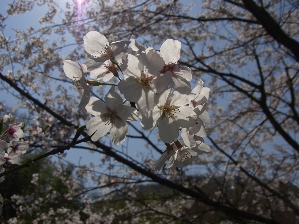 山歩き途中