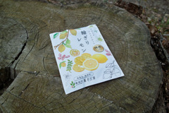 にがすっぱい味