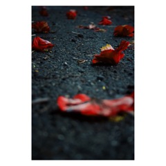 散花