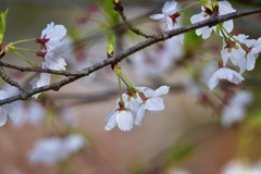 今日から４月