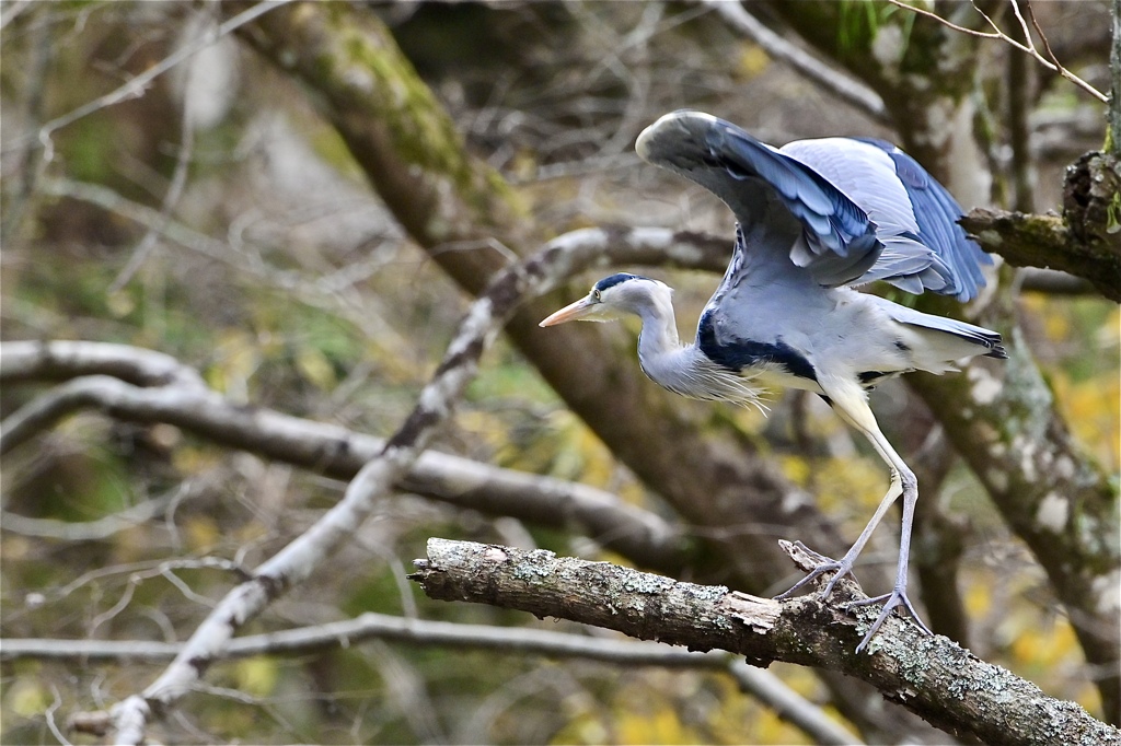 エンジェルポーズ？