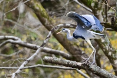 エンジェルポーズ？