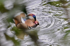 隙間に見えた！