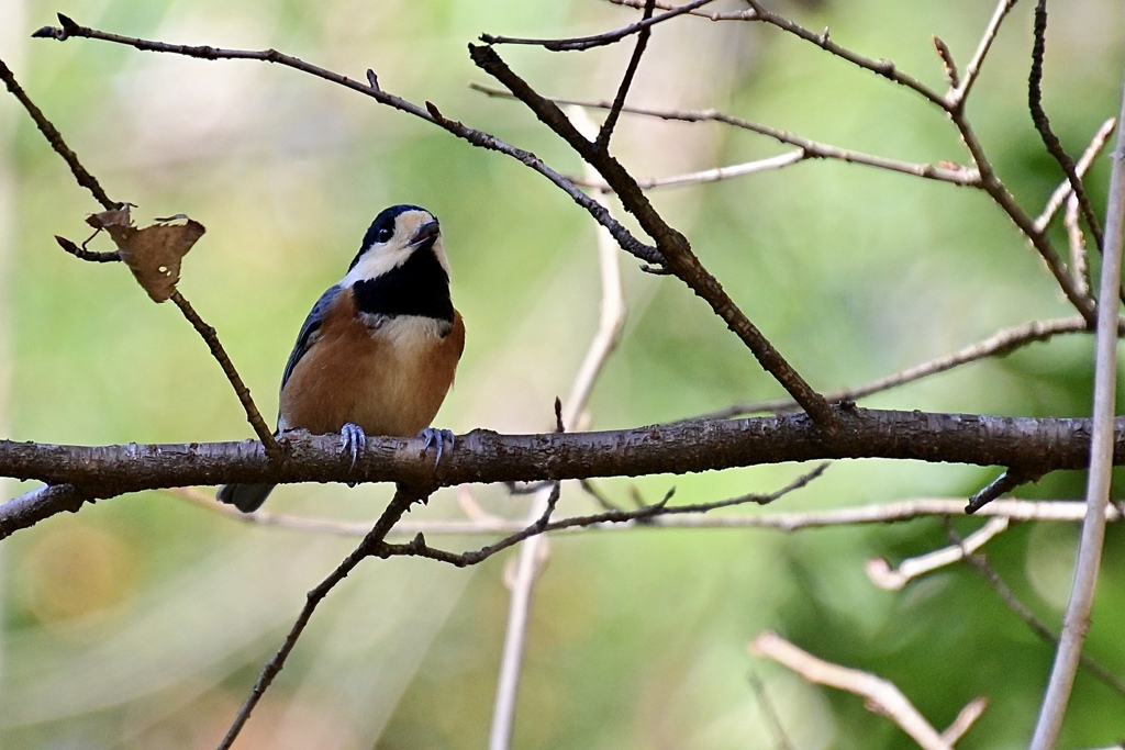 ここでも元気♪