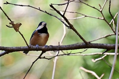 ここでも元気♪