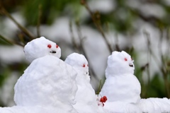 雪の朝 Ⅷ