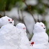 雪の朝 Ⅷ