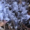 －４°Cの霜柱