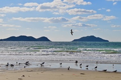 冬の海岸