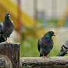 公園での語らい～♪