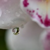 雨の日の贈り物