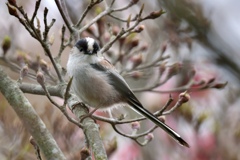 久しぶり ♪ 久しぶり ♪