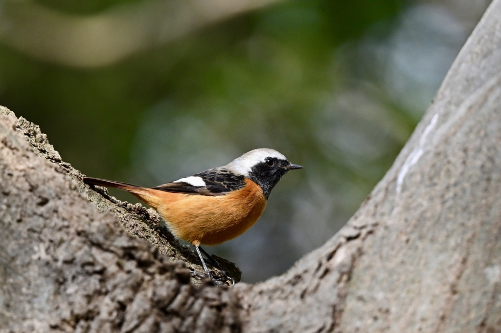 暖かな日差しに誘われて