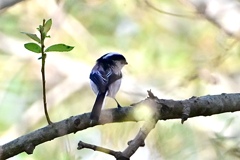 こっちを向いて