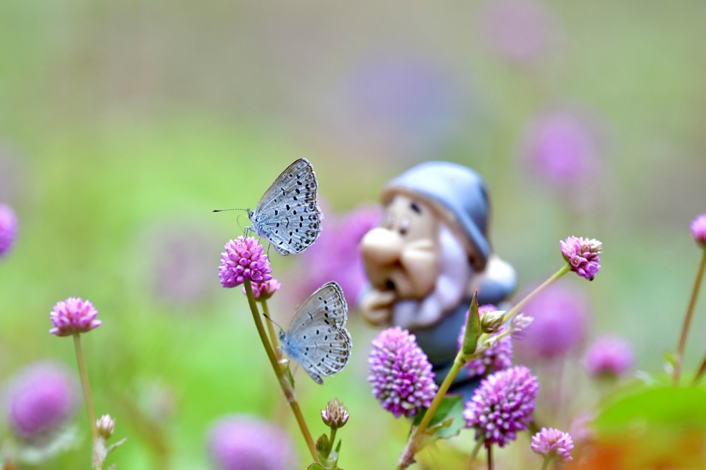 It's a Small World～♪