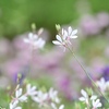 風に吹かれて