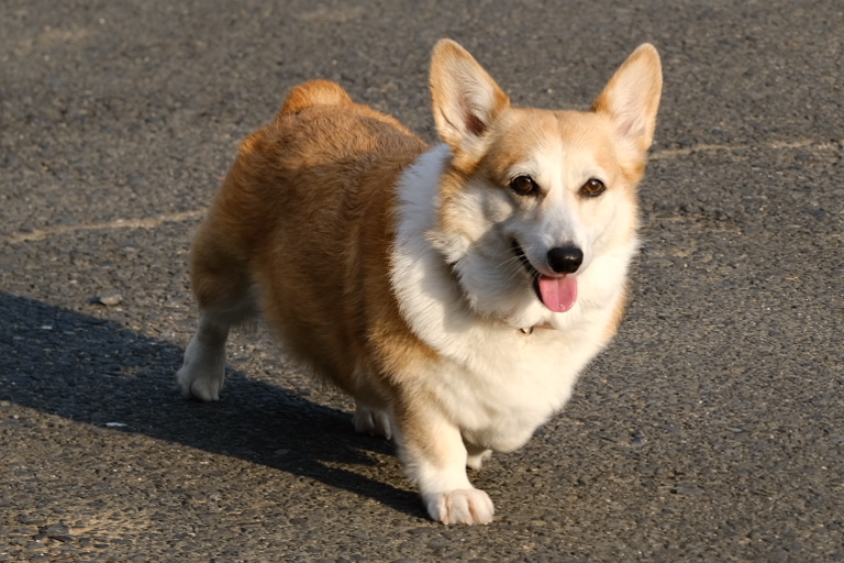 昼下がりの出会い