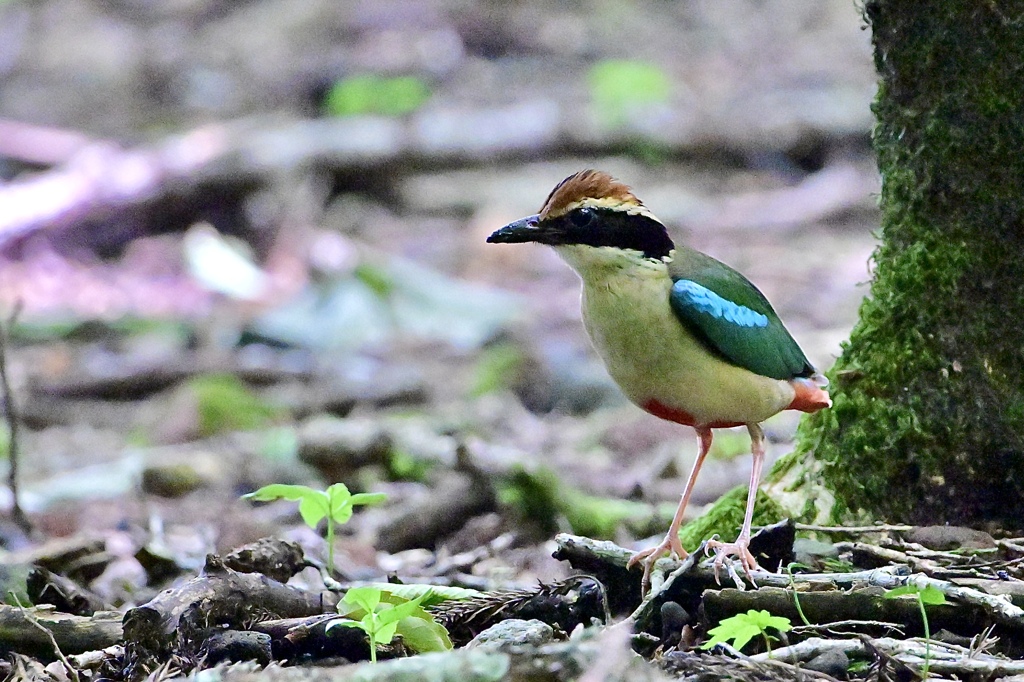 忘れられない思い出