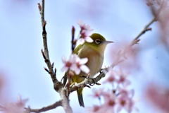 お花に囲まれて