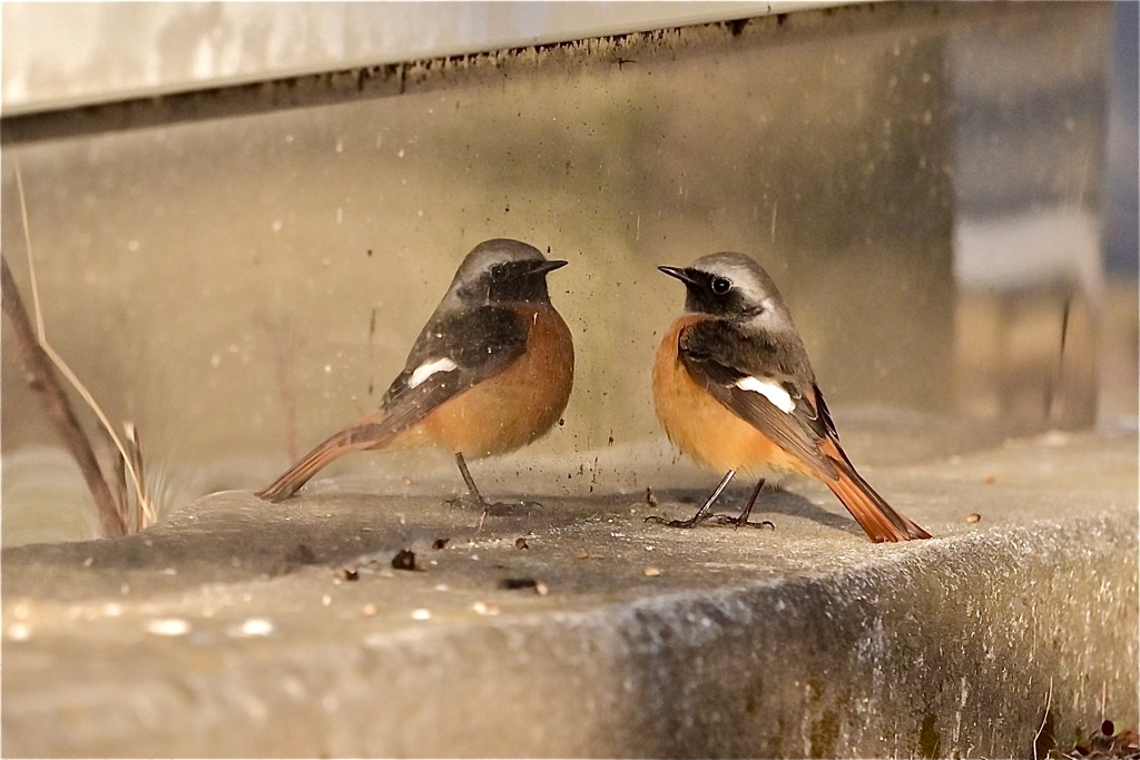 見つめ合うこと５分