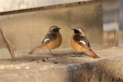 見つめ合うこと５分