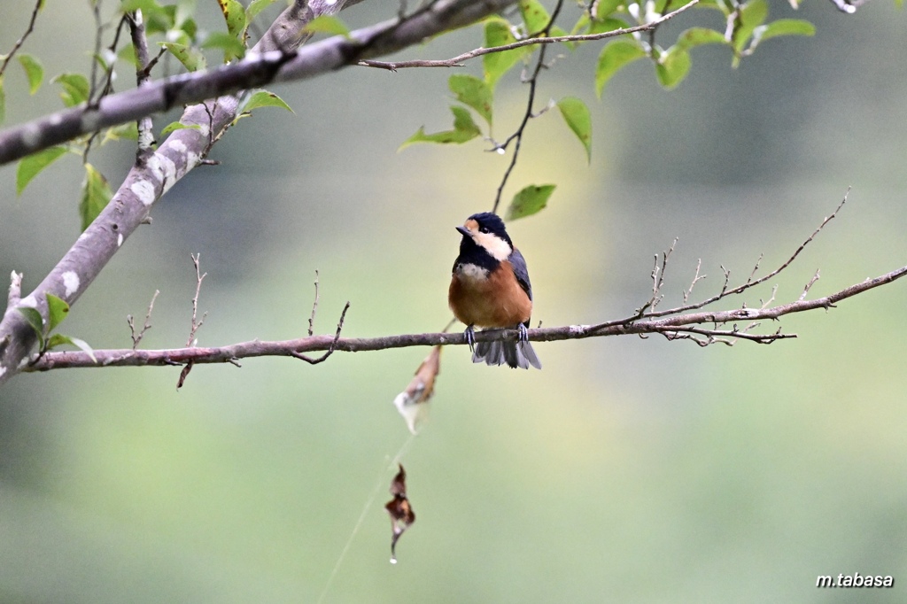 雨が上がって♪