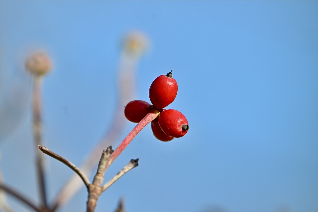 空を押し上げて
