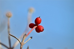 空を押し上げて