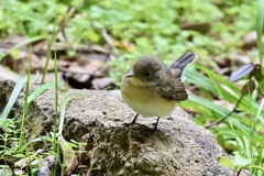 初めまして～♪