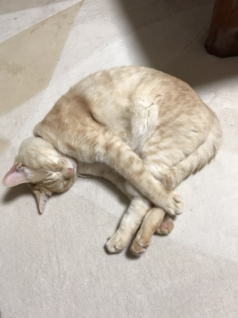 そっとしといて！