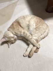 そっとしといて！