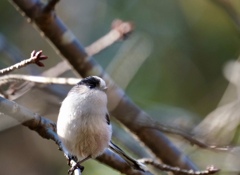 元気いっぱい 元気いっぱい
