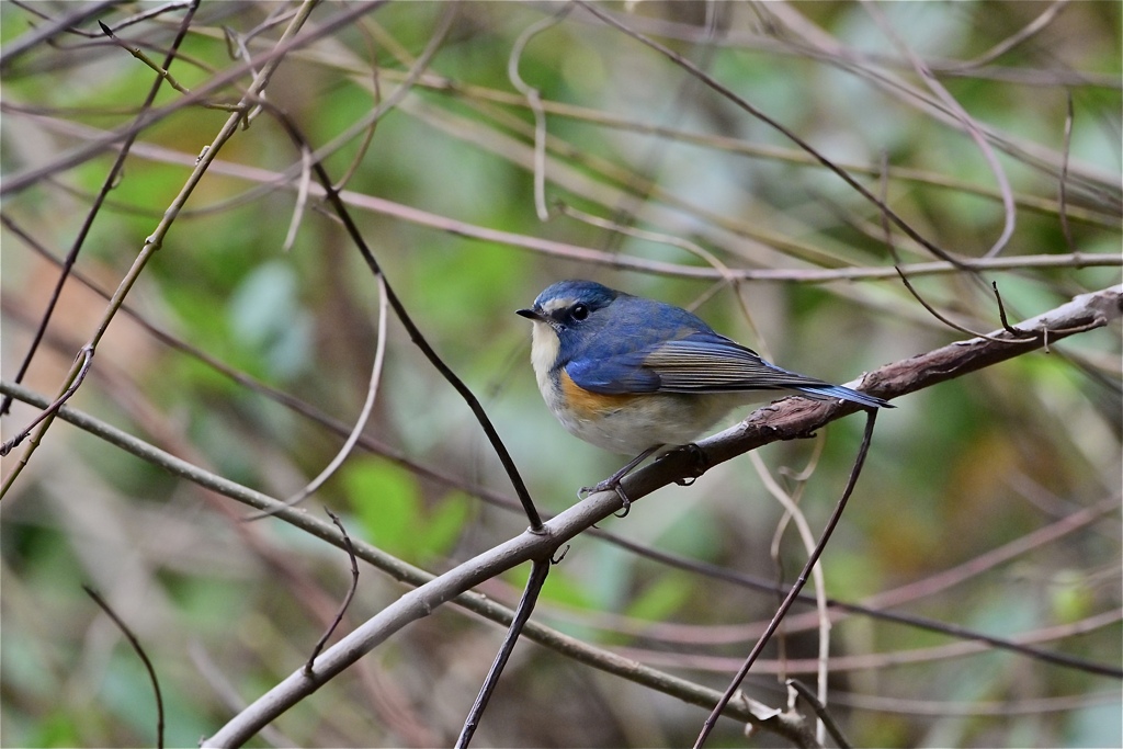 いつもの場所に