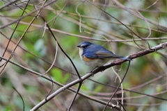 いつもの場所に
