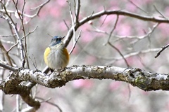 もうすぐお別れ