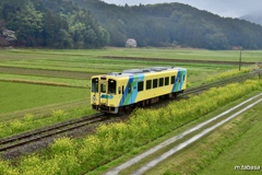 菜の花電車がやって来た