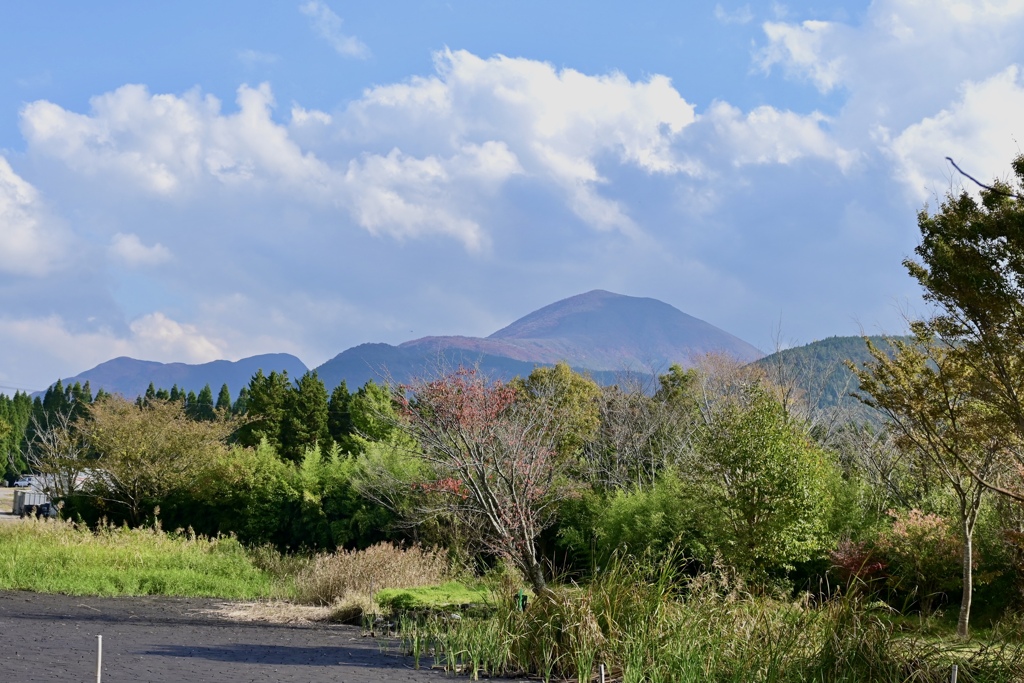 秋の山