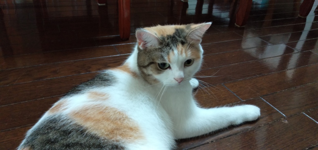 IMG20190916084447