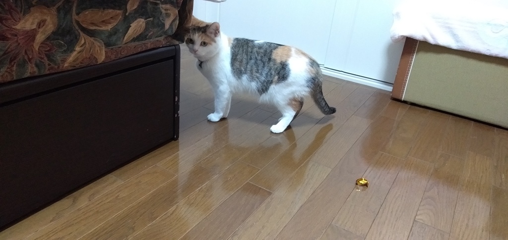 IMG20191102164501