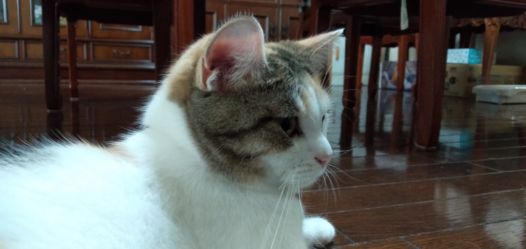 IMG20190916084458