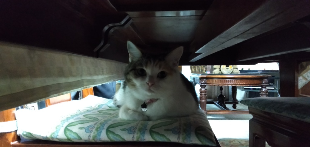 IMG20191231165321
