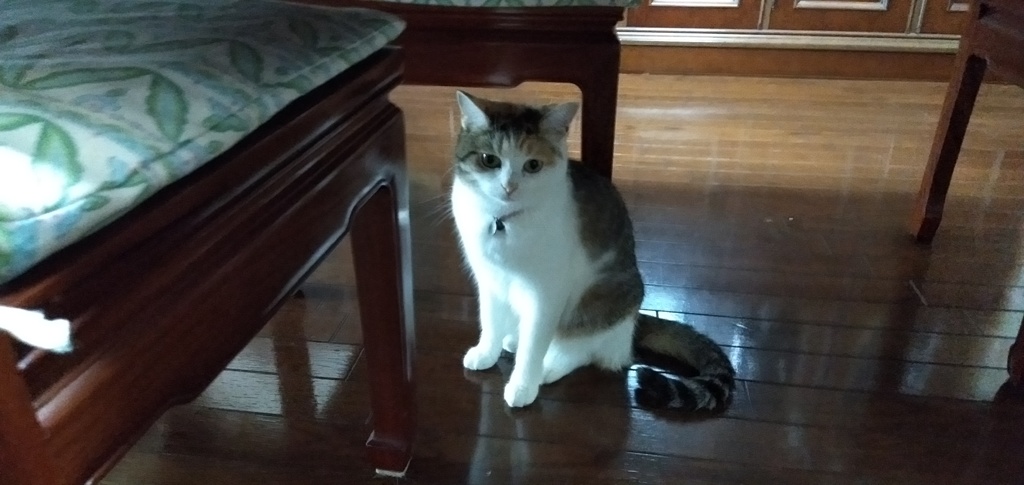 IMG20190817094654